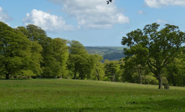 Cornwall estate management